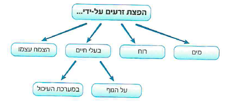 (בספר איור)